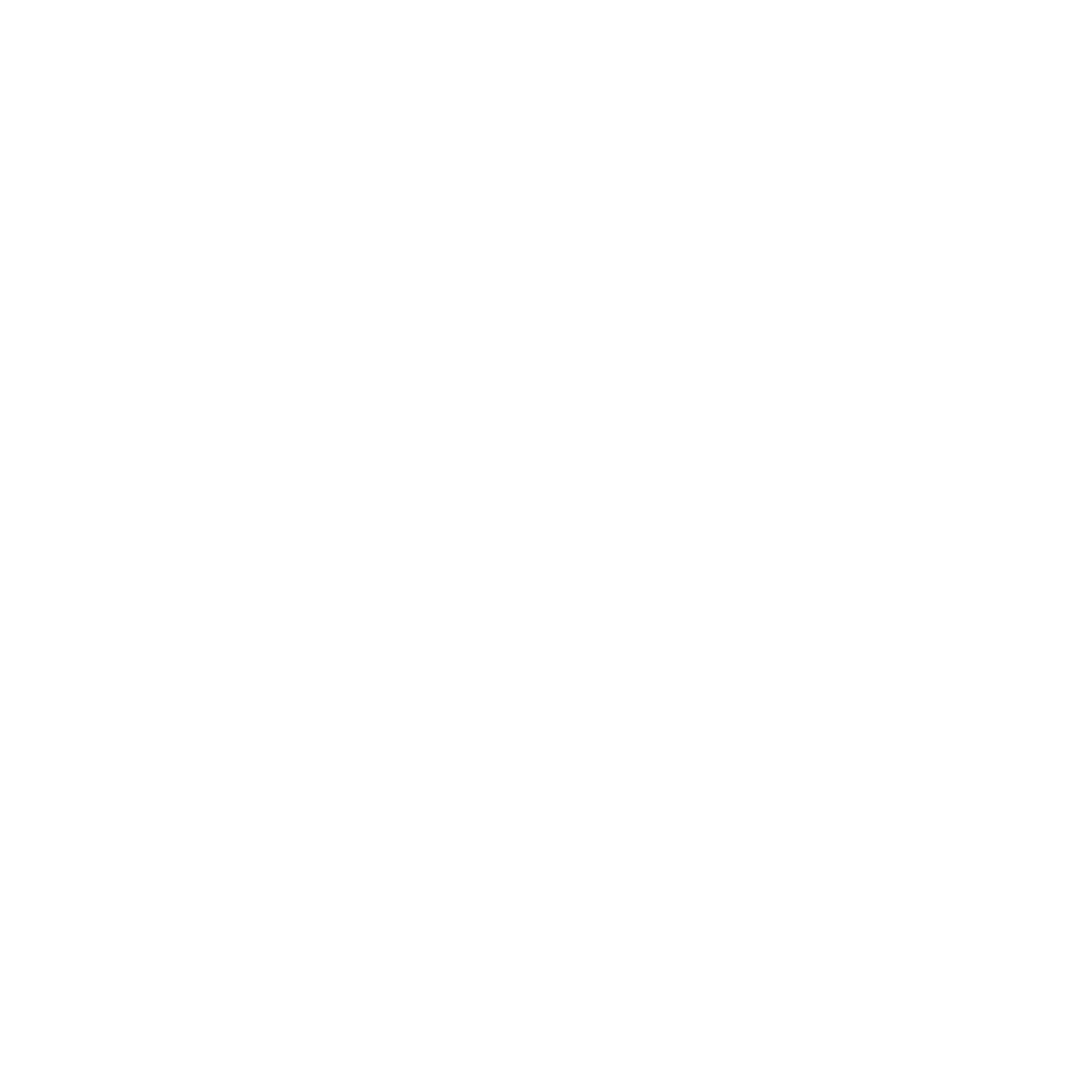 Logo partnera https://brainerdrink.com/en/the-first-brain-drink-in-poland/